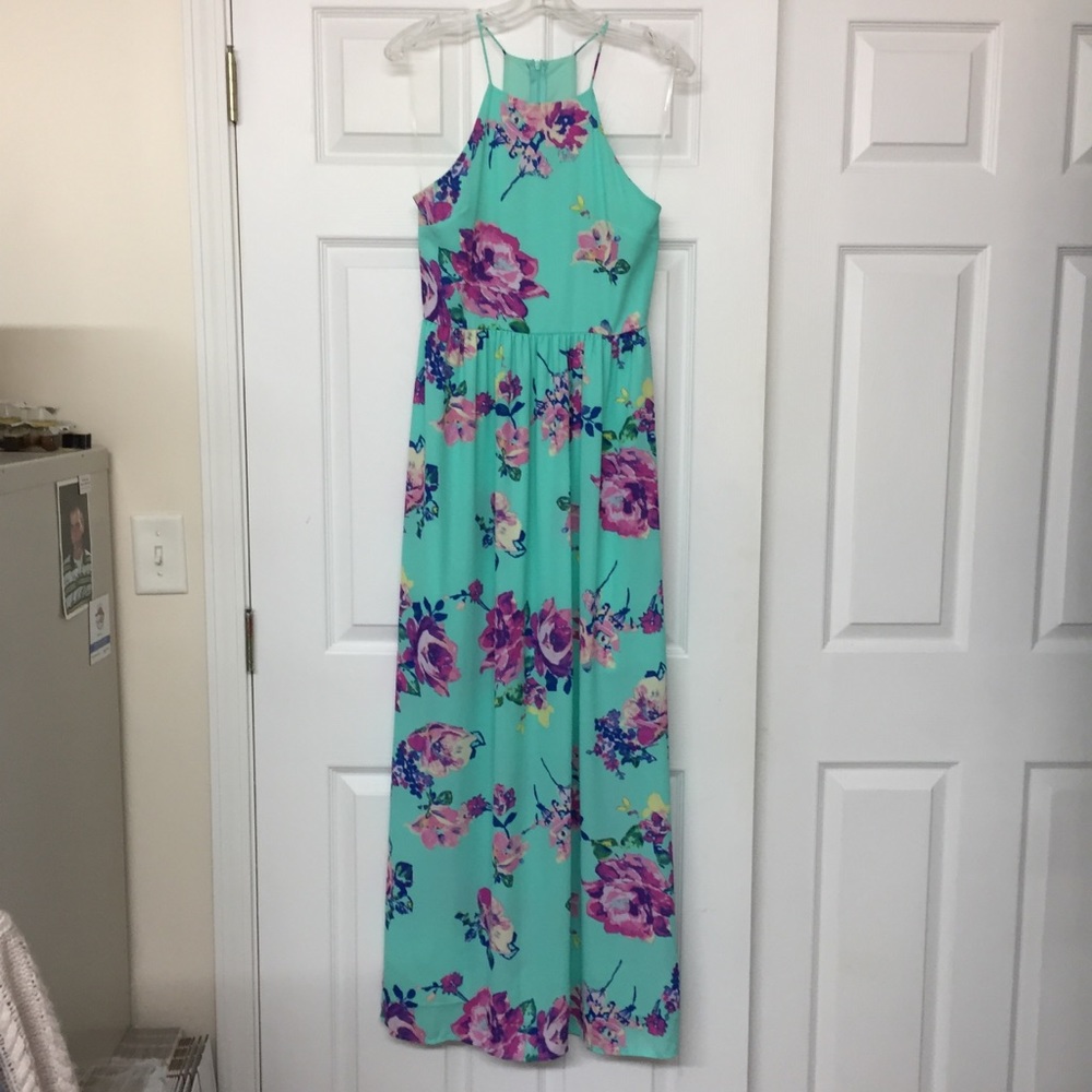Everly Mint Green Floral Maxi Dress with Pink & Purple Blooms